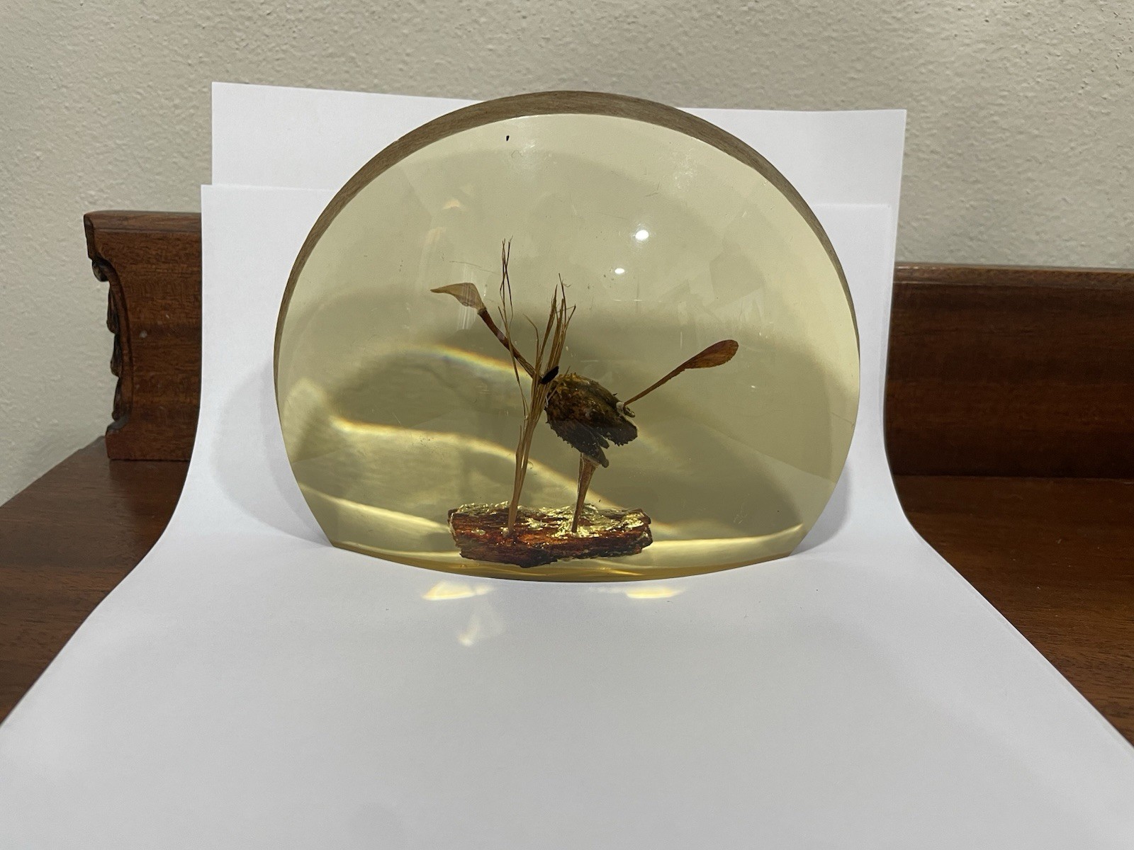 Picture 2 of 15