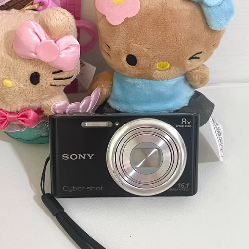 SONY Cyber-shot DSC-W730 ジャンク SONY CYBERSHOT DSC-W730 •°. *࿐♥ SOLD ﹏ inclusions