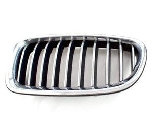 51137336477 Verkleidung Gitter Niere Stoßstange Vorne Seite Links BMW Serie 5