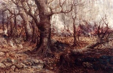 Dream-art Oil painting Antonio-Parreiras-Fire forest landscape free shipping art