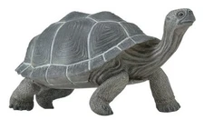 GALAPAGOS by Safari Ltd/toy/260729/ toy turtle/tortoise 