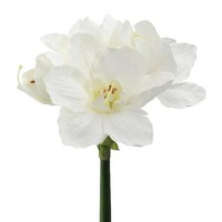 Artplants Deko Blume Amaryllis Welba, Weiß, 65Cm