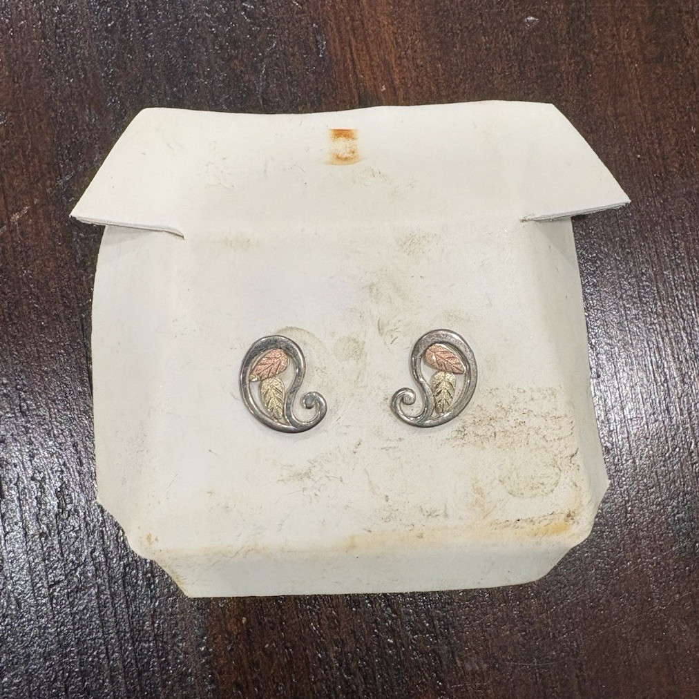 Vintage Black Hills Earrings
