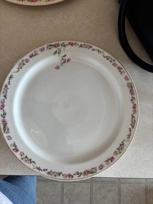 Haviland Limoges  The Amstel  Plate Discontinued
