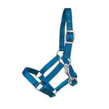 Kunststoff-Halfter ~ Mini-Shetty ~ türkis ~ extra schmal