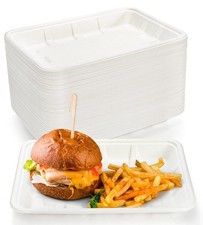 100-Pack 9 Inch Compostable Food Trays for Camping  Picnic Use