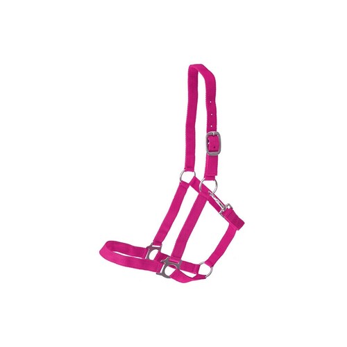 Restposten Abverkauf, Reitsport, 1 Karton voll mit neuen Pferdesachen, Trense, H - Bild 10 von 10
