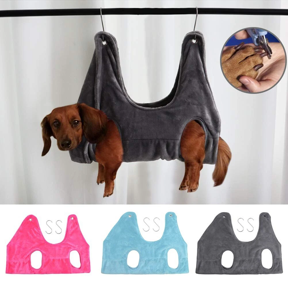 Dog nail trimming hammock 2025