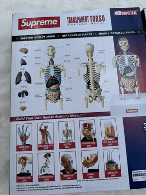 SUPREME Male & Female Anatomy Model Set Red | 2018 | 4D Human RARE