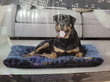 Vibrant Life Navy and White Ultra Soft Tufted Pet Bed Extra Large 38 In X 48In