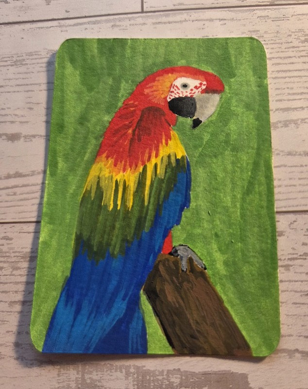 ACEO Original Acrylic Miniature Painting - Red Macaw - by Nicole Cress