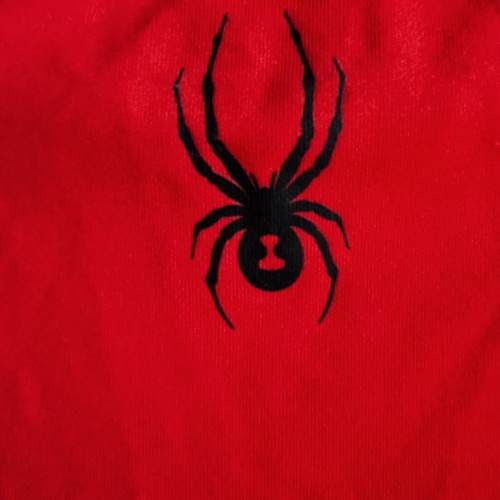 Spyder - Short Sleeve Crew Neck Shirt Red Black Graphic L Logo Boys - Picture 6 of 8