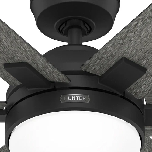 Hunter 52 Georgetown ENERGY STAR Ceiling Fan W/ LED Light, Remote - Contemporary - Picture 15 of 24