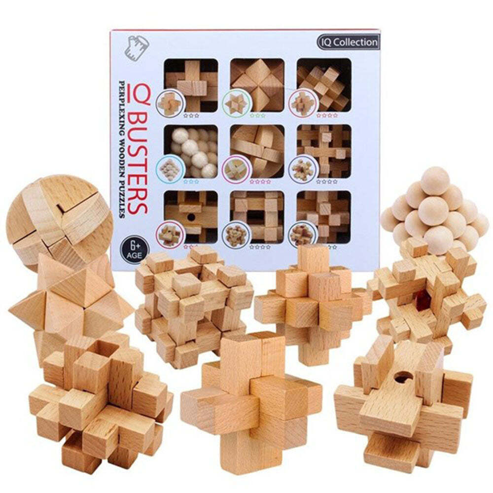 Enjoy IQ Busters 9-Pack Wooden Puzzle - LatestBuy