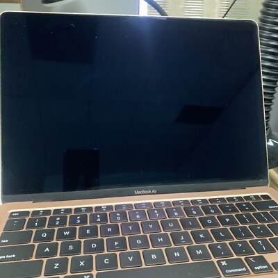 Apple Macbook Air A2179 (Retina, 13-inch, 2020) Rose Gold | eBay