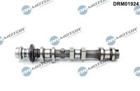 Dr.Motor Automotive Nockenwelle Auslassseite FüR Ford Ecosport Fiesta VII 1.0