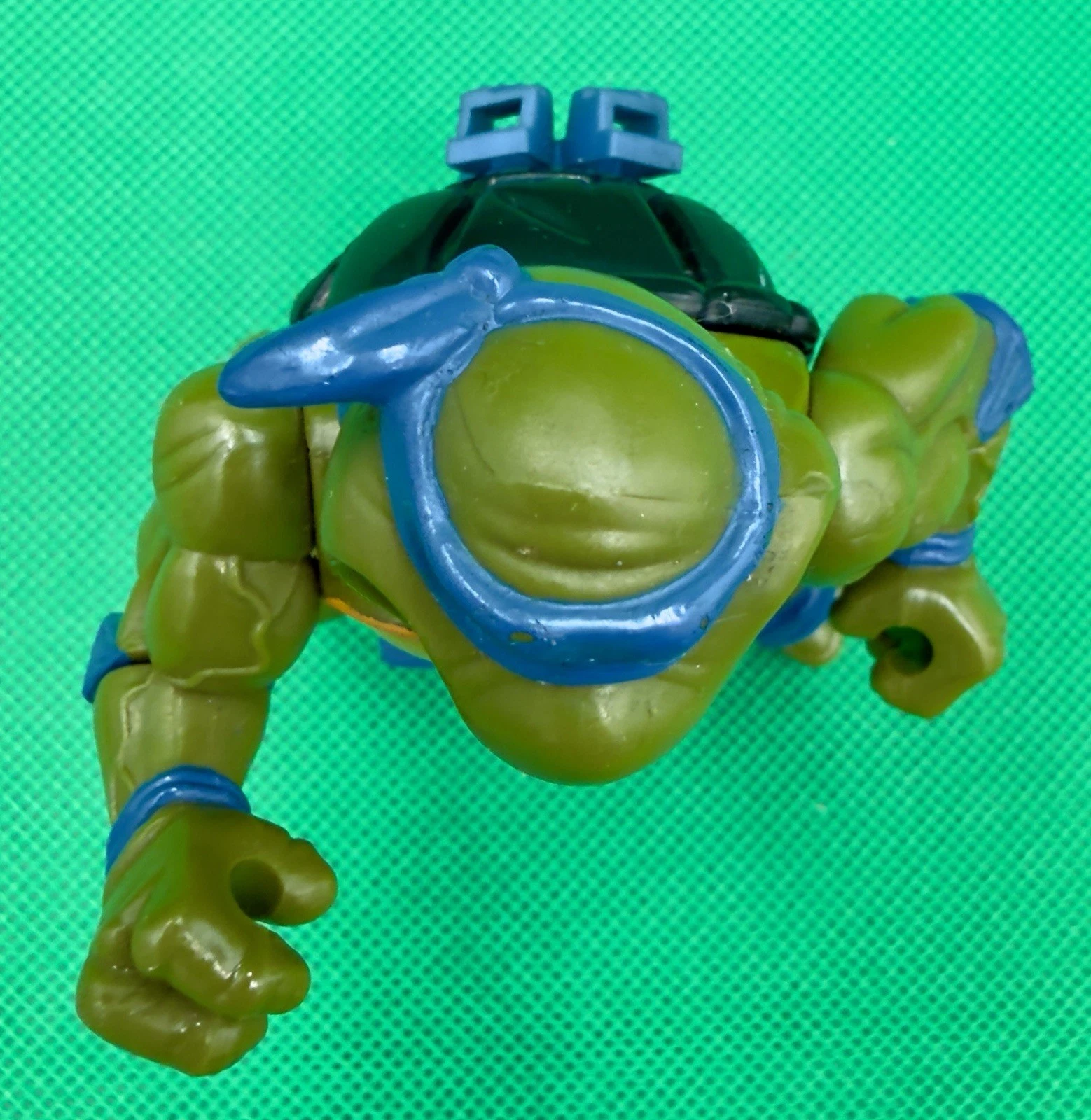 Storage Shell Leonardo photo 3