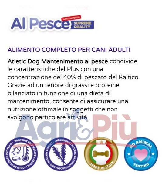 Foto 2 di 6