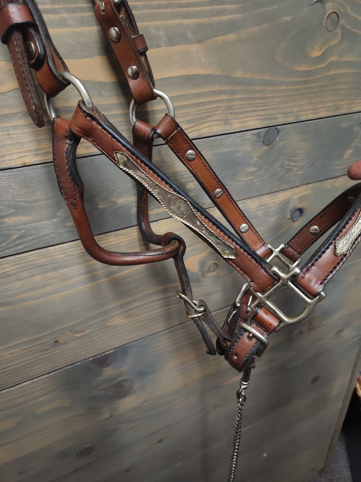 WESTERN SILVER SHOW HALTER YEARLING WITH LEAD