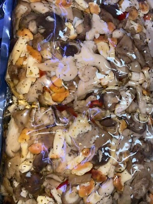 - SENZA MARCA/GENERICO ? busta kg 3 funghi misti di bosco con porcini monti calabria antipasto gioielli