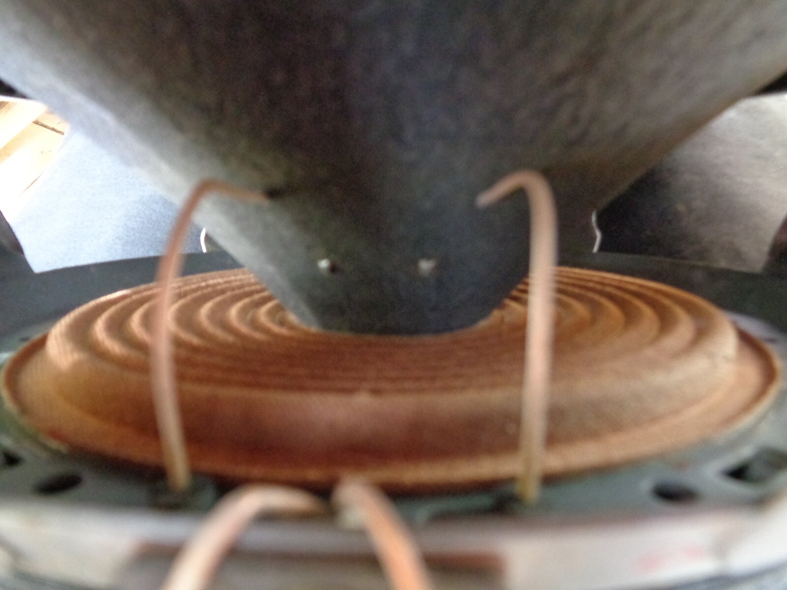 Isophon Lautsprecher 12 Zoll Alnico eBay