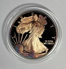 2010-W $1 Proof American Silver Eagle w/ Toning