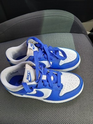 Little Kids Nike Dunk Low (PS) BLUE (FB9108 131), Sz 12C