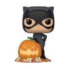 Funko Pop! Heroes: Batman - Catwoman GameStop Exclusive #507 With Protector