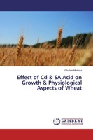 Effect Of Cd & Sa Acid On Growth & Physiological Aspects Of Wheat Ghulam Murtaza