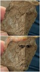 This Rock Looks Like President Donald Trump! Happy Fourth Of July!  Artifact — photo 5