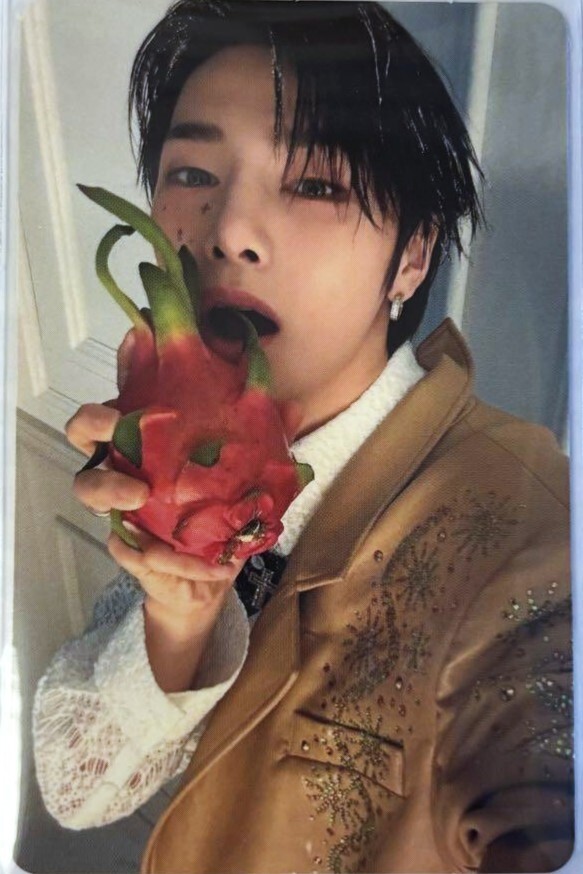 Stray Kids HOLLOW Japan Album Limited time Edition Official Photo