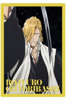 BLEACH Trading Card W#2 No.17 Roujuro Otoribashi BANDAI Japan | eBay