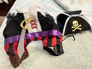 Pirate Pet Costume — Small