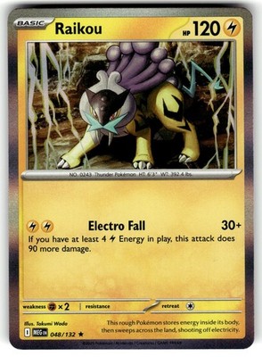 Raikou Rare Holofoil 048/132 LP