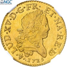 [#899094] France, Louis XV, Louis d’or Mirliton de Béarn, Grandes palmes, 1725, 