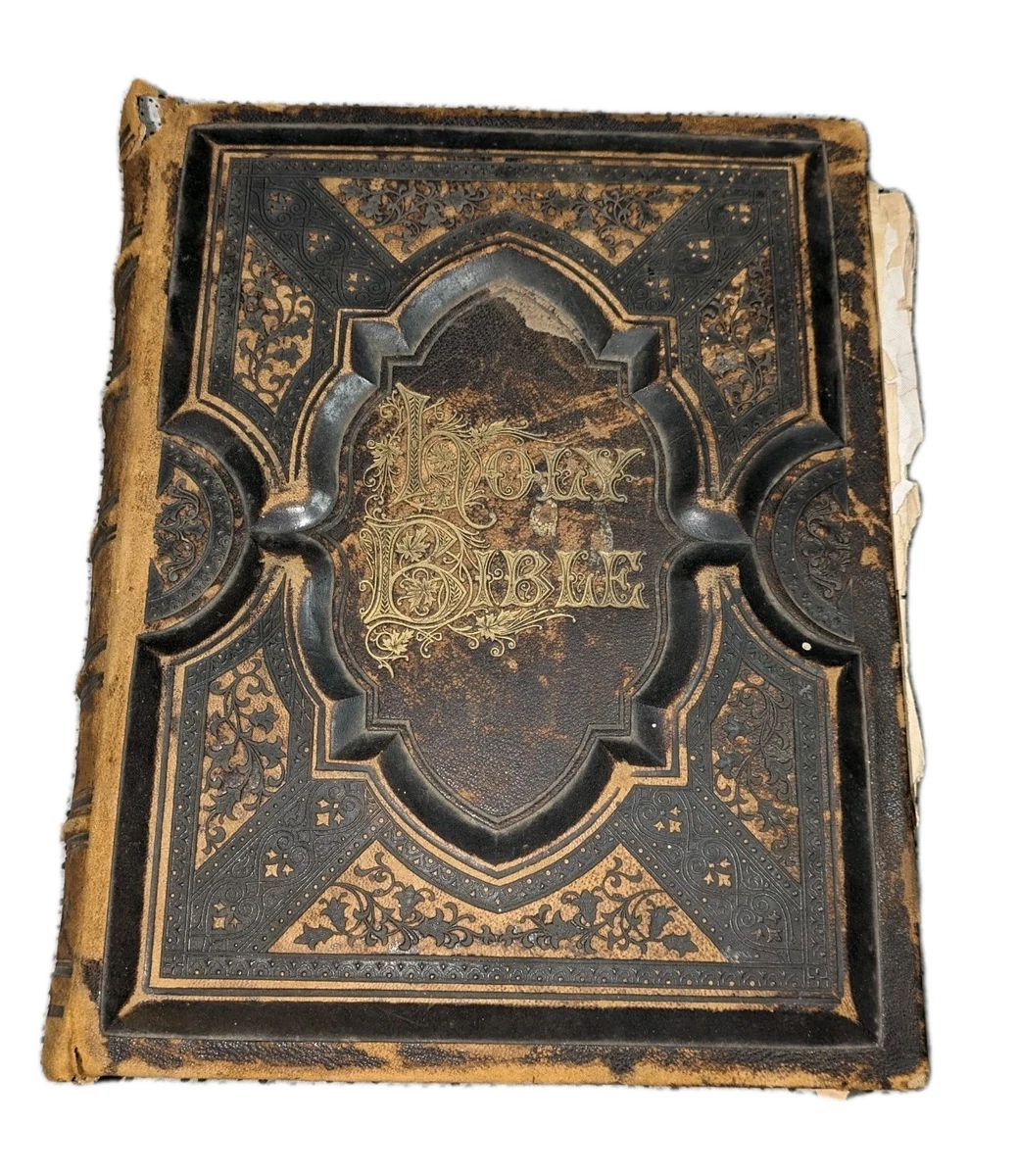 Preços baixos em Cristianismo, Bíblias North American 1850-1899