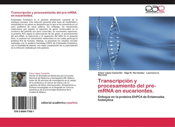 TranscripcióN Y Procesamiento Del Pre-Mrna En Eucariontes. Olga N. HernáNdez-image