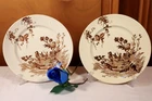 Pair Antique French Brown Transferware Ironstone Plate Birds-Ships DDP to USA