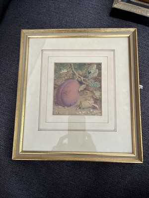 Original Painting Still Life Plum By William Hough