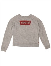 Levi's Damen Crop Grafik Sweatshirt Pullover UK 14 Medium Grau Baumwolle CR01
