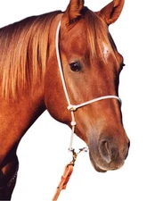 Martin Saddlery Tie Down Rope Headset Knots Horse Training White HTDR