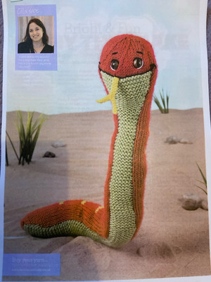  Strickanleitung Lenny die Schlange Spielzeug Aran Gewicht Stash Buster Artikel