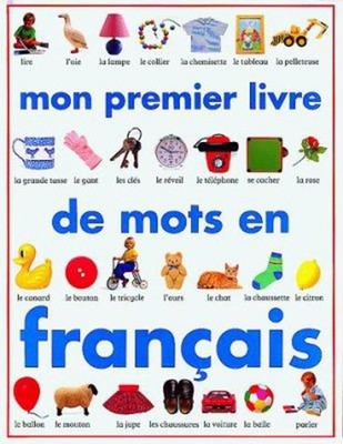 Mon Premier Livre des Mots en Francais Hardcover