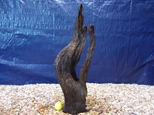 Large Driftwood 21"x08"x05" Aquarium Terrarium Reptile Natural Art