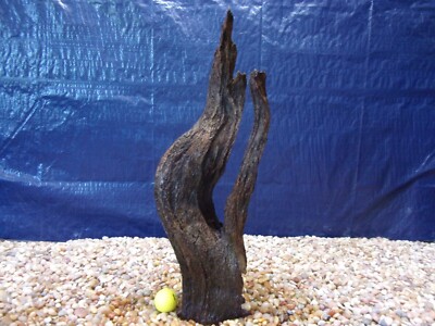 Large Driftwood 21''x08''x05'' Aquarium Terrarium Reptile Natural Art