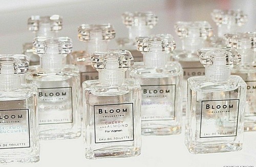 bloom perfume superdrug