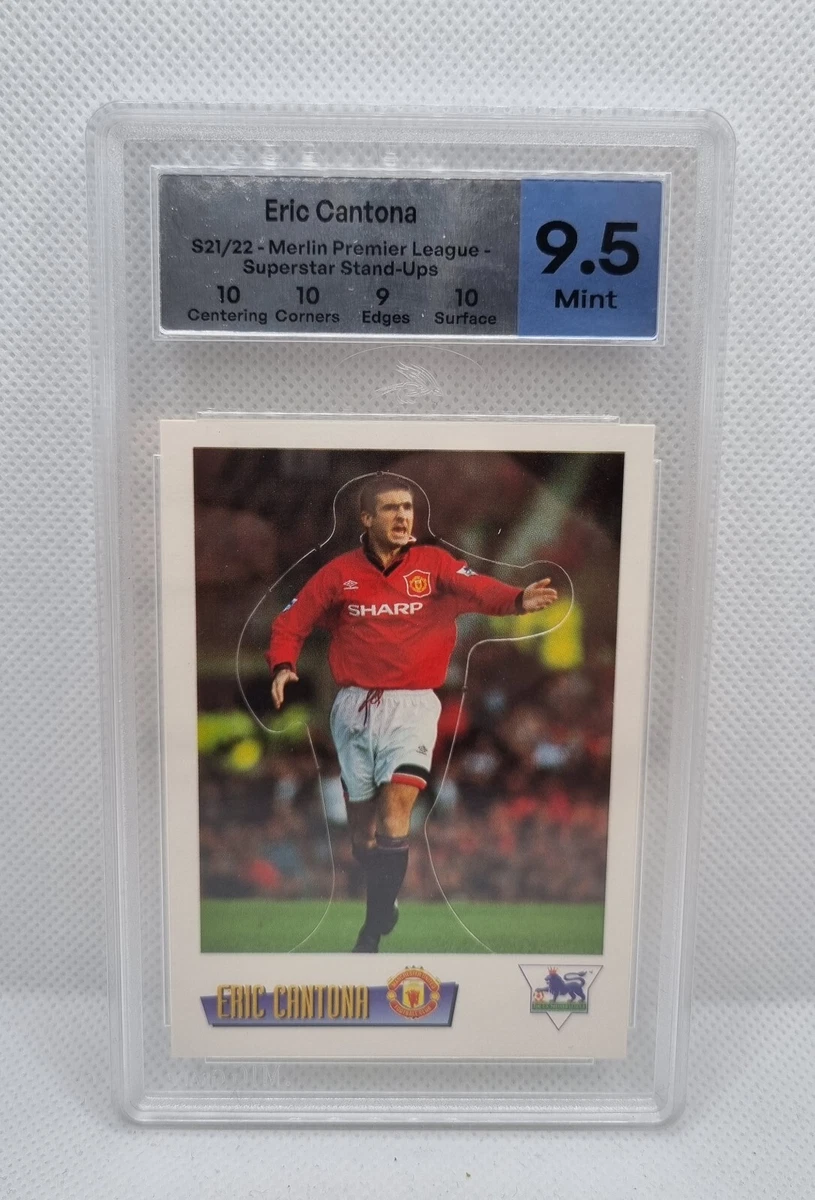 Lot de cartes Panini Adrenalyn XL 2014-2015 Football LIGUE 1 - Collection