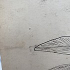 Bild 2 von 24