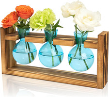 3 Bulb Glass Plant Terrarium Hydroponic Vase Wooden Stand Table Decor Blue