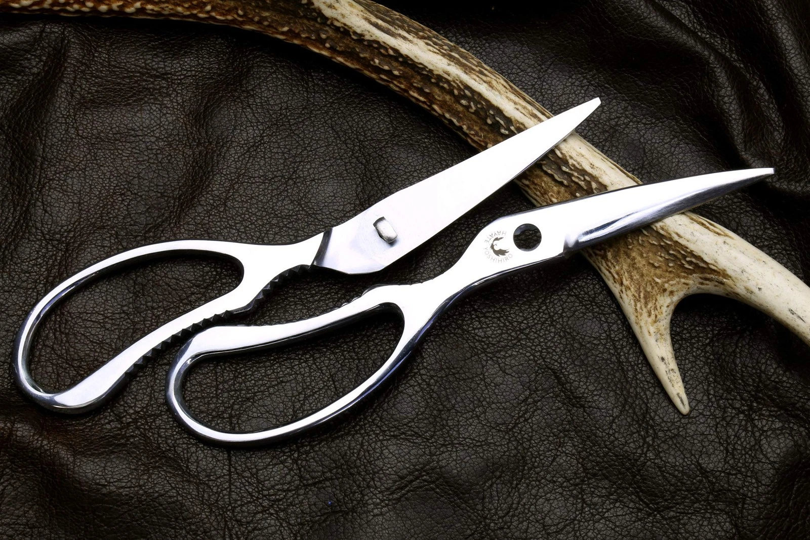 Yoshihiro Kitchen Shears - Thumbnail 3